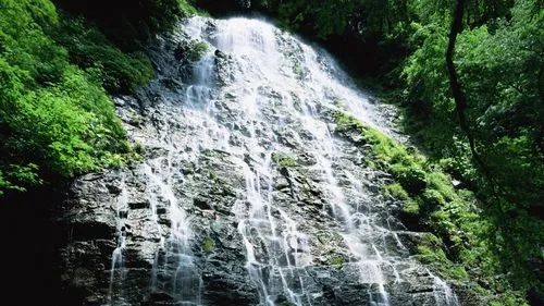 稳定性绿色高精度